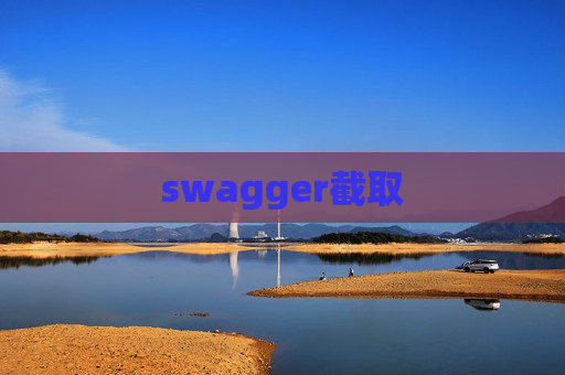swagger截取